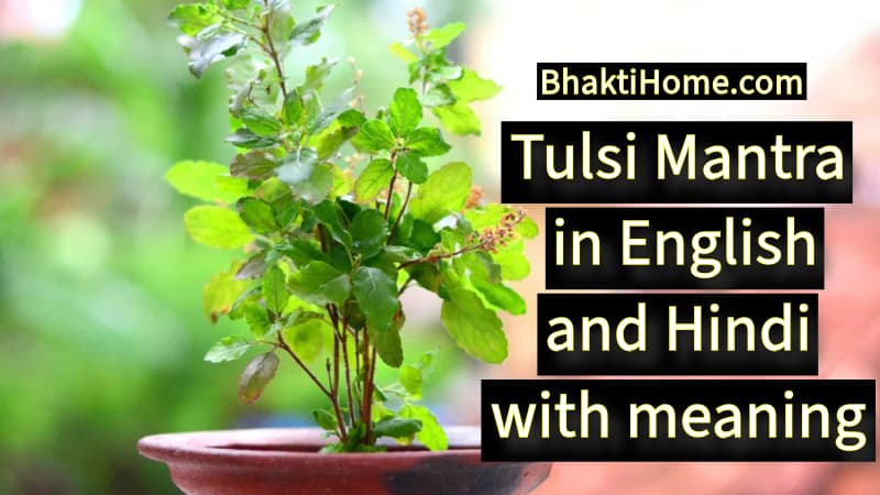 tulsi mantra in english and hindi