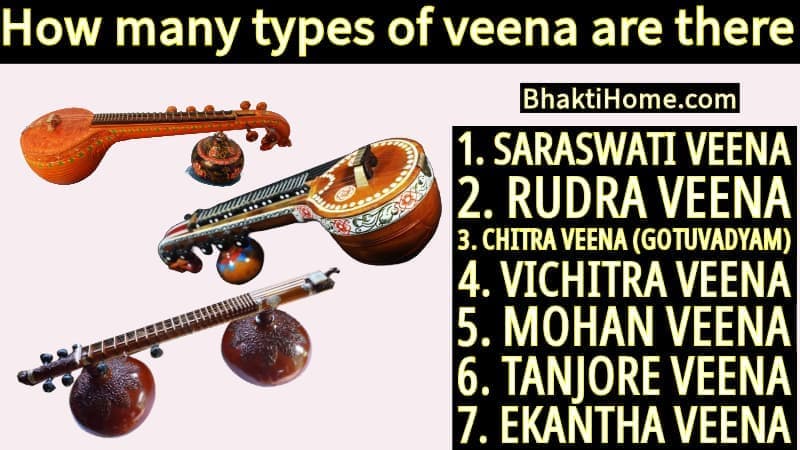 How many types of veena are there