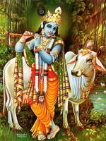 Krishna